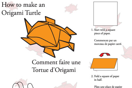 An instructional diagram for folding an origami turtle